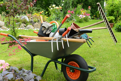 30+ Gartendienstleistungen In Der Nähe, Um eine größere anzahl